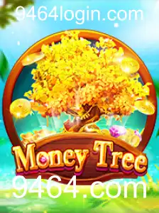 MoneyTree: Tudo o Que Você Precisa Saber